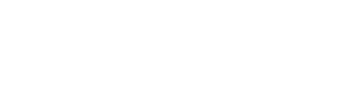 Werner Companies